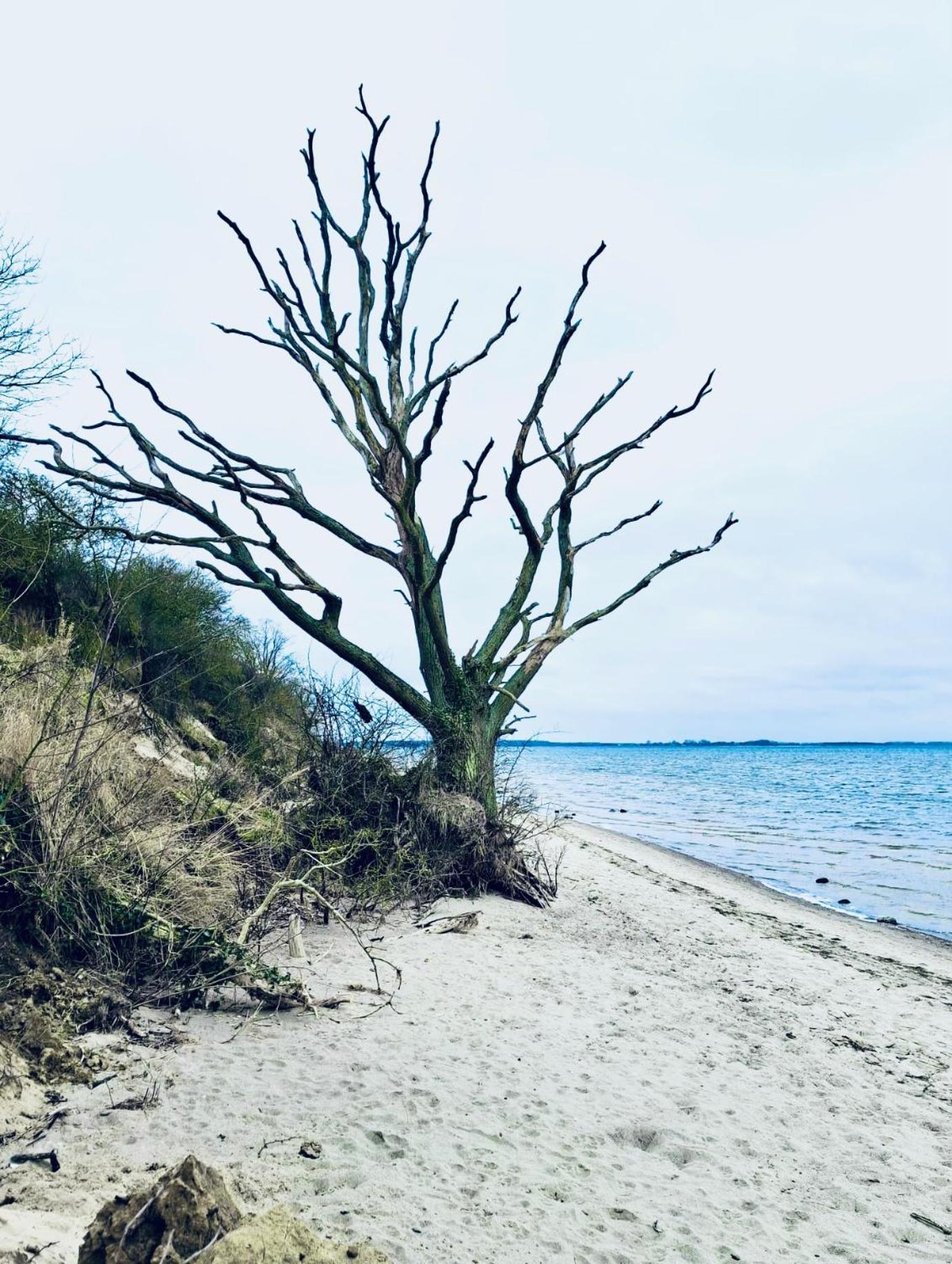Ferienhaus Am Strand Loissin Kültér fotó